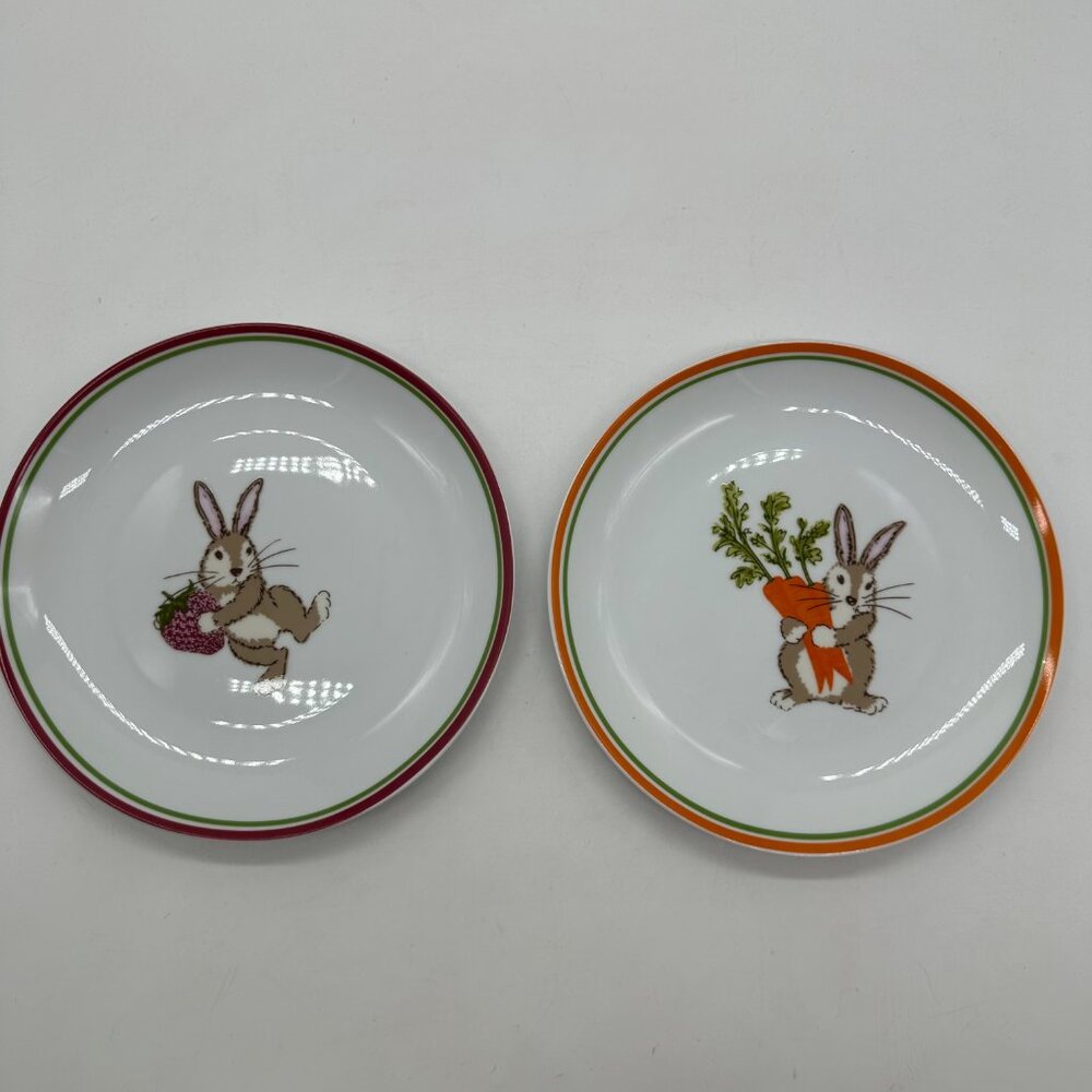 2 Like New EUC World Market Salad Luncheon Dessert Plate Plates Easter Rabbit